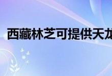 西藏林芝可提供天龍音響維修服務地址在哪