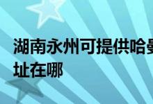 湖南永州可提供哈曼卡頓家庭影院維修服務地址在哪