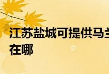 江蘇鹽城可提供馬蘭士家庭影院維修服務(wù)地址在哪