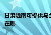 甘肅隴南可提供馬蘭士家庭影院維修服務(wù)地址在哪