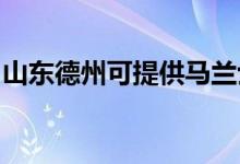 山東德州可提供馬蘭士音響維修服務地址在哪