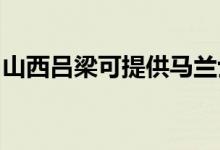 山西呂梁可提供馬蘭士音響維修服務地址在哪