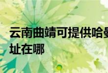 云南曲靖可提供哈曼卡頓家庭影院維修服務地址在哪