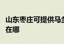 山東棗莊可提供馬蘭士家庭影院維修服務(wù)地址在哪