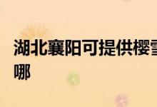 湖北襄陽可提供櫻雪抽油煙機維修服務(wù)地址在哪
