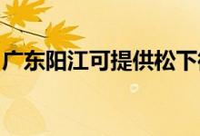 廣東陽江可提供松下微波爐維修服務(wù)地址在哪