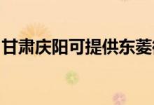 甘肅慶陽(yáng)可提供東菱微波爐維修服務(wù)地址在哪