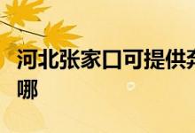 河北張家口可提供奔騰微波爐維修服務地址在哪