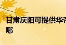甘肅慶陽(yáng)可提供華帝抽油煙機(jī)維修服務(wù)地址在哪