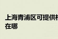 上海青浦區(qū)可提供格蘭仕微波爐維修服務(wù)地址在哪
