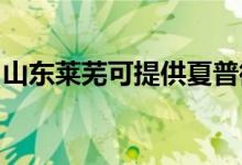 山東萊蕪可提供夏普微波爐維修服務(wù)地址在哪