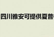 四川雅安可提供夏普微波爐維修服務(wù)地址在哪