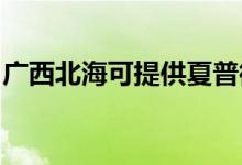 廣西北?？商峁┫钠瘴⒉t維修服務地址在哪