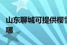 山東聊城可提供櫻雪抽油煙機維修服務(wù)地址在哪