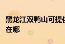 黑龍江雙鴨山可提供方太微波爐維修服務(wù)地址在哪