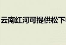 云南紅河可提供松下電磁爐維修服務地址在哪