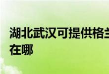 湖北武漢可提供格蘭仕抽油煙機維修服務(wù)地址在哪