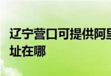 遼寧營口可提供阿里斯頓抽油煙機維修服務地址在哪
