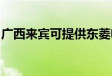 廣西來(lái)賓可提供東菱電磁爐維修服務(wù)地址在哪