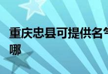重慶忠縣可提供名氣抽油煙機(jī)維修服務(wù)地址在哪