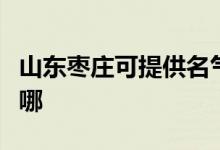 山東棗莊可提供名氣抽油煙機維修服務地址在哪