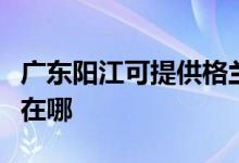 廣東陽江可提供格蘭仕抽油煙機維修服務(wù)地址在哪