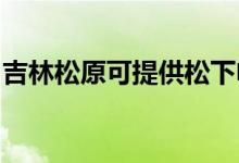 吉林松原可提供松下電磁爐維修服務地址在哪