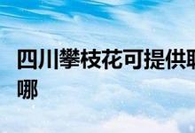 四川攀枝花可提供聯(lián)創(chuàng)電磁爐維修服務地址在哪