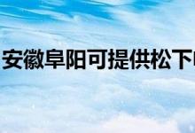 安徽阜陽可提供松下電磁爐維修服務地址在哪
