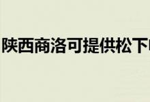 陜西商洛可提供松下電磁爐維修服務地址在哪