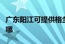 廣東陽江可提供格蘭仕電磁爐維修服務(wù)地址在哪