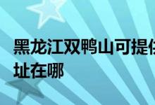 黑龍江雙鴨山可提供每時(shí)樂(lè)電磁爐維修服務(wù)地址在哪