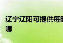 遼寧遼陽(yáng)可提供每時(shí)樂(lè)電磁爐維修服務(wù)地址在哪