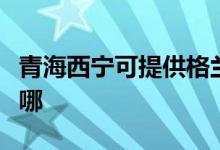 青海西寧可提供格蘭仕電飯煲維修服務地址在哪