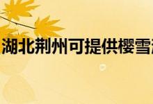 湖北荊州可提供櫻雪消毒柜維修服務地址在哪