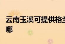 云南玉溪可提供格蘭仕電飯煲維修服務地址在哪