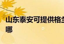 山東泰安可提供格蘭仕電飯煲維修服務地址在哪