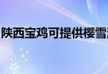 陜西寶雞可提供櫻雪消毒柜維修服務地址在哪