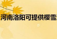 河南洛陽可提供櫻雪消毒柜維修服務地址在哪