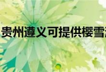 貴州遵義可提供櫻雪消毒柜維修服務地址在哪