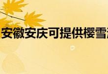 安徽安慶可提供櫻雪消毒柜維修服務地址在哪