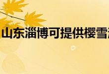 山東淄博可提供櫻雪消毒柜維修服務地址在哪
