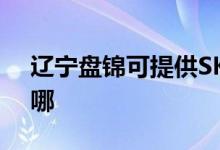 遼寧盤錦可提供SKG電飯煲維修服務地址在哪