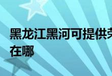 黑龍江黑河可提供榮事達電餅鐺維修服務(wù)地址在哪