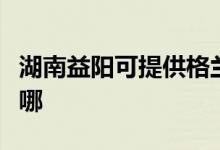 湖南益陽可提供格蘭仕電餅鐺維修服務(wù)地址在哪