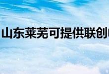 山東萊蕪可提供聯(lián)創(chuàng)電飯煲維修服務地址在哪