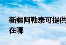 新疆阿勒泰可提供SKG電飯煲維修服務地址在哪