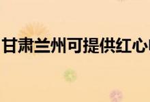 甘肅蘭州可提供紅心電餅鐺維修服務(wù)地址在哪