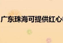 廣東珠?？商峁┘t心電餅鐺維修服務(wù)地址在哪