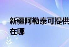 新疆阿勒泰可提供SKG電餅鐺維修服務地址在哪